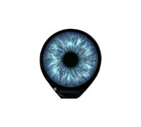 Waveshare Electronic EYE Écran IPS Rond de 0,71 Pouce pour pour Raspberry Pi ESP32 STM32 Module Electronic EYE