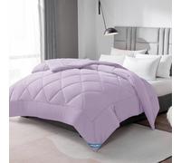 WAVVE Couette Tempérée 300GSM en Microfibre, Édredon Lit 2 Personnes 240x260 cm pour Lit 160x200/180x200/200x200, Grand Chaud Épais Garnissage 300g/m², 260x240 Mauve