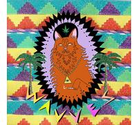 Wavves – King of the Beach – Vinyle