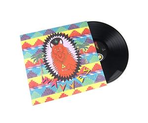 Wavves: King Of The Beach Vinyl LP