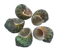 WAWPU Coquilles de Bernard-l'ermite, Fournitures de Remplacement, Coquille spéciale, conque Naturelle for décoration d'aquarium à Faire soi-même(Green,M)