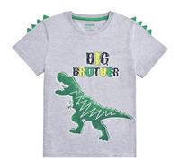 WAWSAM Enfant Bambin Garçon Grand Frère T-Shirt - Dinosaure Manches Courtes Cadeau (Gris, 3-4 Ans)
