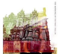 Way I Fell in [Import allemand]