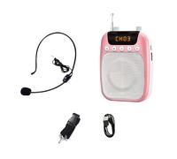 Wayfadacc S358 Amplificateur de voix avec microphone 2500 mAh rechargeable et sans fil pour enseignants, guides