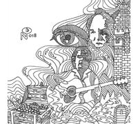 Wayfaring Strangers:Guitar S [Import allemand]