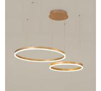 WayLuoung Lustre LED en Métal | 2 Cercles 40+60cm | 40W Plafonnier Suspendu Avec Anneaux, Télécommande à Intensité Variable 3000-6000K, Abat-jour en Acrylique Salon Chambre Foyer Salle Manger【Or】