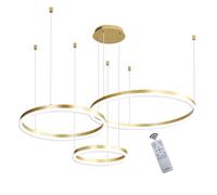 WayLuoung Lustre LED en Métal | 3 Cercles 20+40+60cm | 45W Plafonnier Suspendu Avec Anneaux, Télécommande à Intensité Variable 3000-6000K, Abat-jour en Acrylique Salon Chambre Foyer Salle Manger【Or】