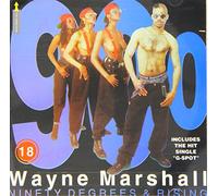 Wayne Marshall - 90 Degrees & Rising [Import]