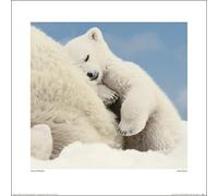 Wayne R Bilenduke (Sweet Dreams 40 x 40 cm Toile Imprimée