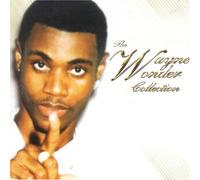 Wayne Wonder - Wayne Wonder Collection [Import]
