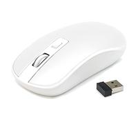Waytex 65421 Souris sans Fil 2,4 GHz pour Ordinateur avec Nano Récepteur USB et Sensibilité Réglable Jusqu’à 1600 DPI portée du Signal Jusqu’à 10 m Technologie Optique - Blanche