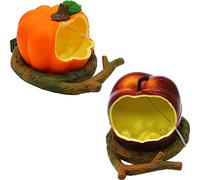WAYUTO Lot de 2 mangeoires pour oiseaux en forme de fruits - Support à clipser pour cage à oiseaux - Distributeur de graines pour petits et jeunes oiseaux, perruches, conures, calopsittes et