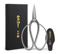 Wazakura Ciseaux à Bonsaï En Acier Inoxydable - Collection en Collaboration avec Ishihara Sensei