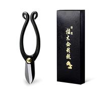 Wazakura Ciseaux Ikenobo Classic pour Ikebana et Arrangenemts Floraux, Outil Jardinage 165 mm en Acier Carbon Noir Fabriqué au Japon
