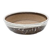 Wazakura Shigaraki Series Pot à Bonsaï en Céramique à Rayures Blanches de 210 mm, Fabriqué au Japon, Ideal pour Fleurs et Plantes Grasses - Blanc Rayé Grande Taille