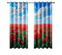 Wazylphin Rideau Occultant Rouge Bleu Ciel Rideau Voilage Polyester Rideaux Occultants Thermique Isolant Anti Froid et Chaleur Oeillets Rideaux Chambre Salon Durable Voilage Fenetre 2x140x240cm