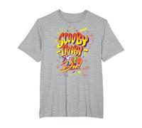 WB 100: Scooby-Doo Shaggy, Fred, Velma, Daphne & Scooby T-Shirt, Homme Grandes Tailles, Gris Chiné, 2X Tall