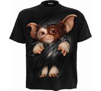 WB Studio - Gremlins - Gizmo - T-Shirt avec imprimé sur Le Devant - Noir - L