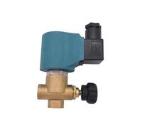 WBBAYDRFR Électrovanne de Vapeur à température normalement fermée en Laiton FKM G1/4" 110 V 220 CA réglable for chaudière Repasser(DC12V)