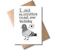 WBdesignz Carte d'anniversaire coquin avec enveloppe - I shit on everything except your birthday - Carte de vœux humoristique avec motif pigeons et oiseau - Carte de vœux amusante pour femmes et