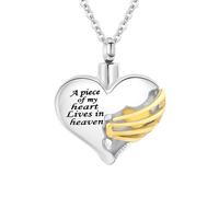 WBDWWTD TQHGHX Collier avec Pendentif en Forme d'urne de crémation en Forme de cœur pour Cendres humaines, Souvenirs commémoratifs, Bijoux commémoratifs pour Un être Cher - Un Morceau de Mon cœur