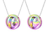 WBDWWTD TQHGHX Personnaliser Collier Urne - Bijoux de crémation pour Cendres Pendentif Chien/Chat Souvenir funéraire pour Femmes Hommes Colliers personnalisés Noms gravés