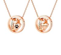 WBDWWTD TQHGHX Personnaliser Collier Urne - Bijoux de crémation pour Cendres Pendentif Chien/Chat Souvenir funéraire pour Femmes Hommes Colliers personnalisés Noms gravés