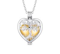 WBDWWTD TQHGHX Personnaliser Collier Urne - Crémation de Coeur Ouvrant pour Cendres Bijoux pour Femmes Colliers personnalisés Noms gravés