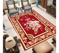 WBDYMX Tapis Litiere antiderapant Cuisine 170x230CM d'entrée Exterieur Rouge rectangulaire Rose pour Salon Couloir Long Moderne Gris