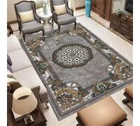 WBDYMX Tapis Salon’ de Balcon extérieur 170x230CM Decoration Chambre Bebe Fille Gris résistant aux Taches et Facile d'entretien Rectangle à litière pour Chat