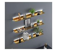 WBLING Étagère Murale Flottante avec éclairage LED intégré, étagère d'exposition créative en métal pour Plantes ou Livres, 1 pièce