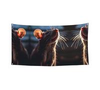 WBQLSL Bannière de fête d'anniversaire imprimée en gros plan - Convient pour la décoration murale de fond de vacances