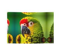 WBQLSL Bannière de fête imprimée perroquet en gros plan 119,4 x 180,3 cm pour anniversaire/Noël/remise de diplôme/anniversaire