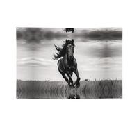 WBQLSL Bannière imprimée étalon noir, parfaite pour les anniversaires, les réunions, les remises de diplôme et les célébrations d'anniversaire.