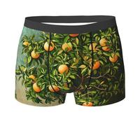 WBQLSL Boxer imprimé arbre fruit passion pour homme, élastique, respirant et confortable contre les frottements., Noir , M
