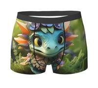 WBQLSL Boxer pour homme à motif de dragon mignon - Séchage rapide, respirant et confortable pour un usage quotidien, Noir , S