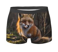 WBQLSL Boxer pour homme à motif renard mignon - Séchage rapide, respirant et confortable pour un usage quotidien, Noir , XXL