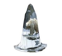 WBQLSL Cape de magicien à motif ours polaire mouillé, convient pour adultes et adolescents, cosplay, gamme complète de tailles S, M, L
