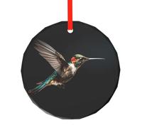 WBQLSL Ce magnifique pendentif rond en verre imprimé colibri est parfait pour Noël, Halloween et d'autres décorations de vacances.
