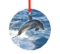WBQLSL Ce pendentif rond en verre imprimé dauphins énergétiques est parfait pour Noël, Halloween et d'autres décorations de vacances.