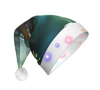 WBQLSL Chapeau de Père Noël avec lumière LED Little Bridge in the East, unisexe pour Noël, Nouvel An, adulte, cadeau de fête de Noël