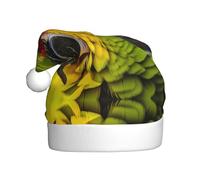 WBQLSL Chapeau de Père Noël imprimé perroquet en gros plan pour fête de Noël/Nouvel An