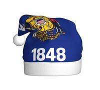 WBQLSL Chapeau de Père Noël unisexe en peluche de 40 cm de haut, chapeau de Père Noël, Nouvel An, drapeau de l'État du Wisconsin, chapeau de Père Noël universel pour adulte