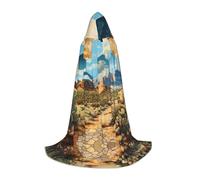 WBQLSL Costume d'Halloween, cape de magicien imprimée hexagonale du désert L, convient aux adultes et aux adolescents, tailles S, M, L disponibles