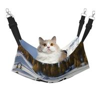 WBQLSL Grande cage à suspendre pour chat avec motoneige - Convient pour chats, furets, chiots, lapins, petits animaux