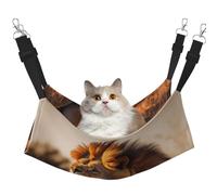 WBQLSL Grande cage à suspendre pour chat, furet, chiot, lapin, animal de petite taille