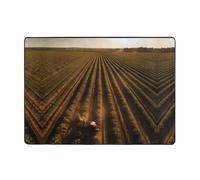 WBQLSL Land of Hope Tapis de sol en flanelle imprimé - 203 x 147 cm Grand tapis de chambre à coucher Confort luxueux