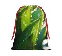 WBQLSL Sachets cadeaux imprimés aloe vera S, parfaits pour les mariages, Noël, anniversaires et anniversaires (S-L)