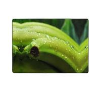 WBQLSL Tapis de sol en flanelle imprimé canna or Indian Shot - 203 x 147 cm - Grand tapis de chambre à coucher - Confort luxueux