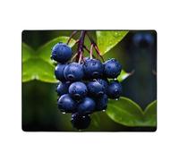 WBQLSL Tapis dodu imprimé myrtilles 160 x 121,9 cm, sensation confortable, améliore le style de décoration d'intérieur